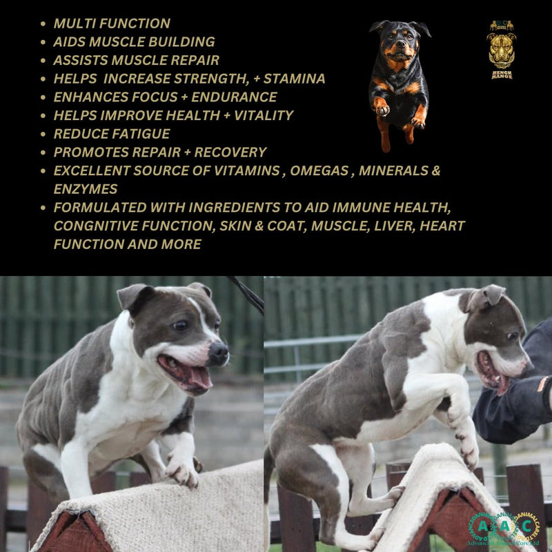 High Protein 70% & Nutritional Supplement For Dogs Muscle, Speed, Stamina, Focus, Energy, Rehab, Recovery, Repair, Probiotic Hench Range Jayfuel All Breeds