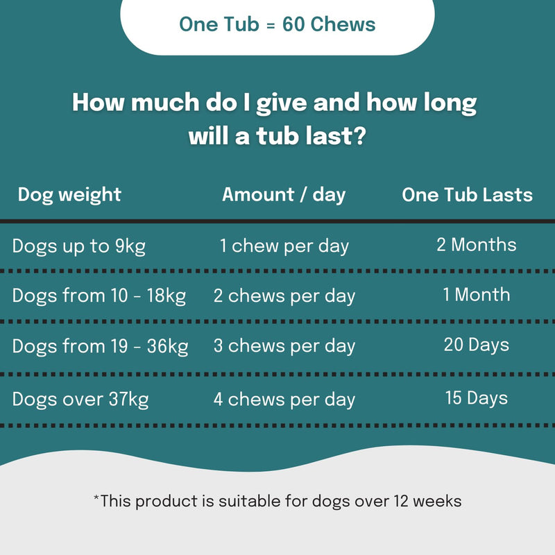 Buddy & Lola Probiotics For Dogs - Daily Dog Probiotic Chews For Digestive Health - Beneficial Prebiotics, Probiotics & Fibre For Better Gut, Firm Stools, Less itching - Plant Based Chews For Dogs 60 Soft Chews (1 Tub)
