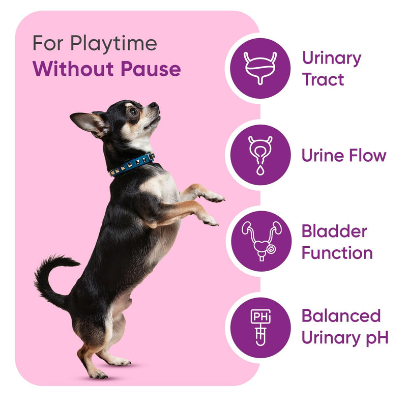 Urinary Aid for Dogs 570mg - 120 Capsules - Added With D-Mannose, Cranberry, Astragalus Root, Liquorice Root Powder & Nettle Leaf Extract - For all Ages, Sizes & Breeds - Non-GMO & Gluten-Free