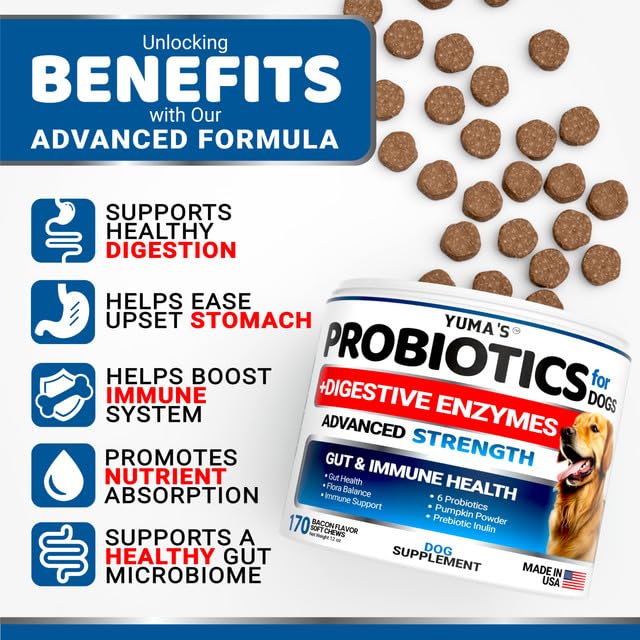 Probiotics for Dogs and Digestive Enzymes - 170 Dog Probiotics Chews - Dog Probiotic - Anti Diarrhea, Upset Stomach & Gas Relief, Canine Prebiotic - Pet Fiber Supplement - Bacon Flavor 170 Chews - BeesActive Australia