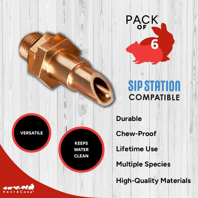 RentACoop DIY Waterer Kit – Six (6) Pack Horizontal Brass Nozzles – Great for Rabbits, Guinea Pigs, Ferrets and Other Small Animals - BeesActive Australia