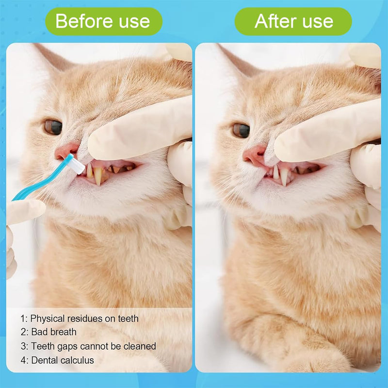 JEYORZY Pack of 3 cat toothbrushes, dog toothbrush, dental care for cats, double-sided cat tooth cleaning brush with microbrush head and curved handle, deep cleaning for cat dental care accessories - BeesActive Australia
