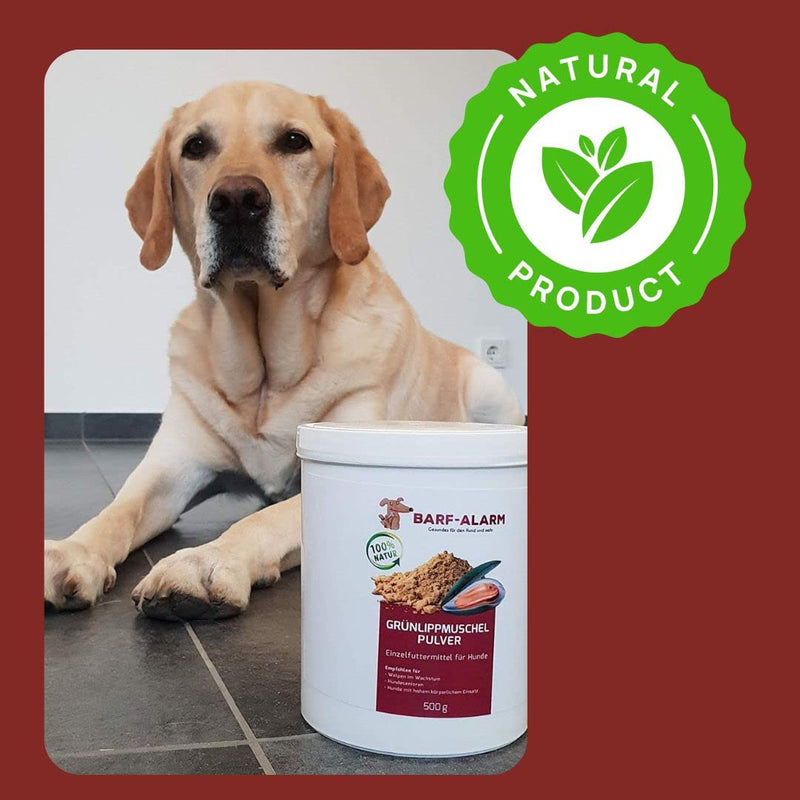 500g Premium Green Lipped Mussel Powder Dog - Made in Germany - Green Lipped Mussel for Dogs Cats Horses 100% pure - Green Lipped Mussel Extract Dogs Perna Canaliculus - Barf Powder Dog Cat Horse - BeesActive Australia