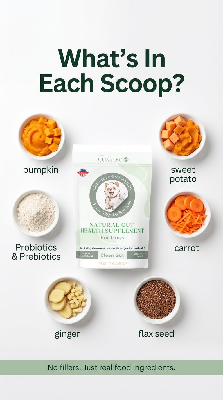 Dog Probiotic Powder – Gut Health Probiotics for Dogs with Digestive Enzymes, Prebiotics & Pumpkin – Supports Firm Stool, Diarrhea Relief, Immune Boost – Natural Dog Gut Health Powder