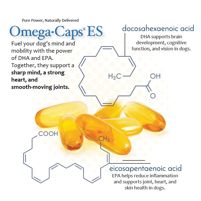 Extra Strength for Large and Giant Dogs Value Size Omega-3 and Omega-6 Fatty Acid Antioxidant Supplement Vet Formulated Made in USA Skin Coat Joint Heart and Immune Health 250 Softgel Capsules