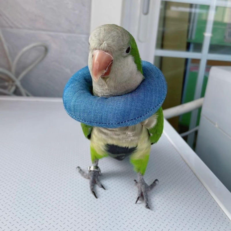 Parrot Neck Collar Pet Anti-bite Picking Feather Healing Protective Neck Cover Collar for Birds Conures Cockatiels Lovebirds Budgies Cockatoos African Grey Random Color (M) M