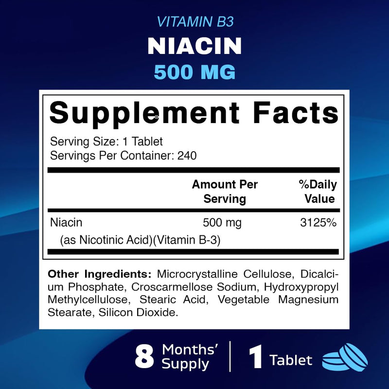 Vitamatic Niacin (Vitamin B3) 500mg, Sustained Release, 240 Tablets - Non-GMO & Gluten Free (Pack of 2) 240 Count (Pack of 2)