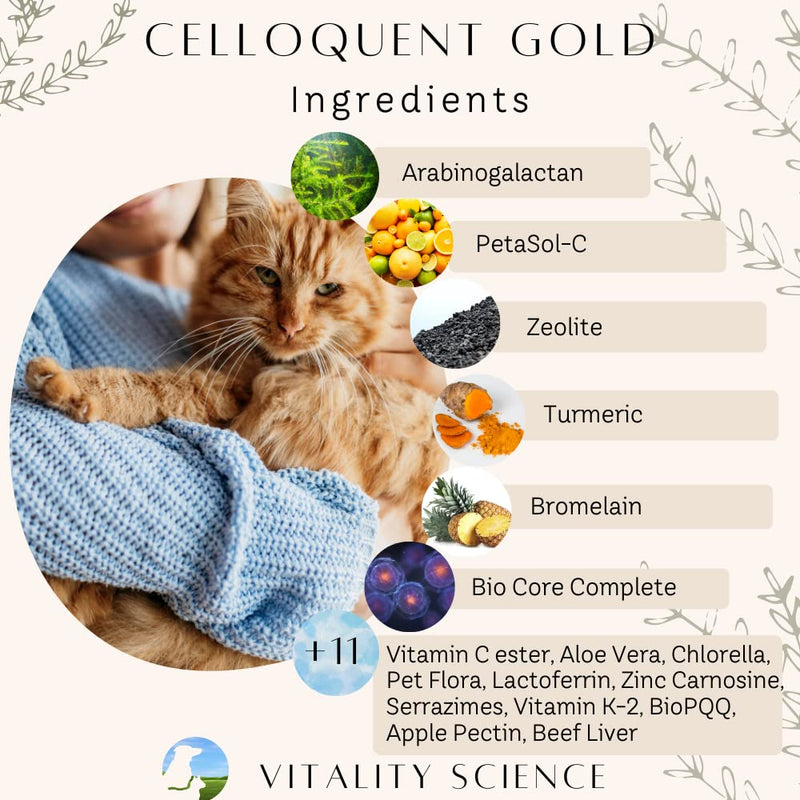 Vitality Science Celloquent Gold for Cats | Holistic Advanced Immune Support Supplement | 17 Synergistic Ingredients | Auto Immune, Vomit and Diarrhea, Depression (60g) 60g