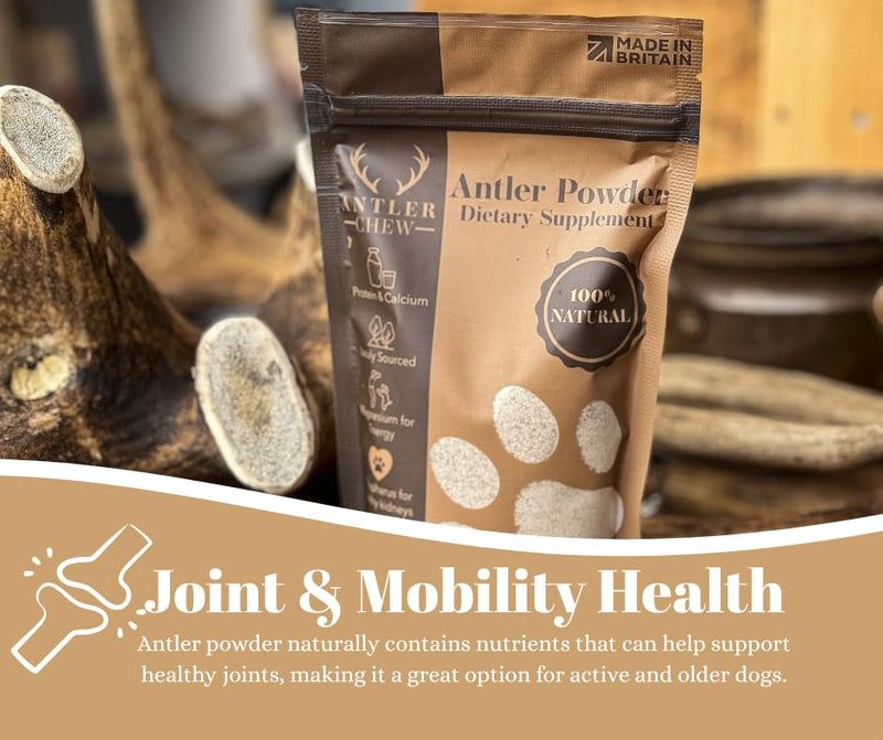 Premium Antler Powder for Dogs 150g | Natural Joint, Bone & Coat Supplement | Rich in Calcium, Phosphorus & Minerals | Grain-Free Hypoallergenic Dog Supplement | Healthy Support for All Breeds & Sizes