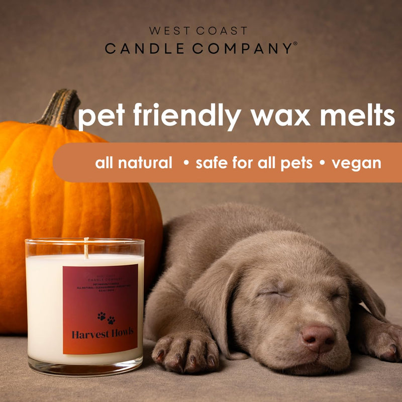 Pet Friendly Wax Melts | Pet Safe Wax Melts | All Natural Dog Safe Wax Melts | Non-Toxic Wax Melts | Pet Odor Eliminator | Pure Soy Wax Melts | Veterinarian Approved (Cider & Spice) Cider & Spice - BeesActive Australia