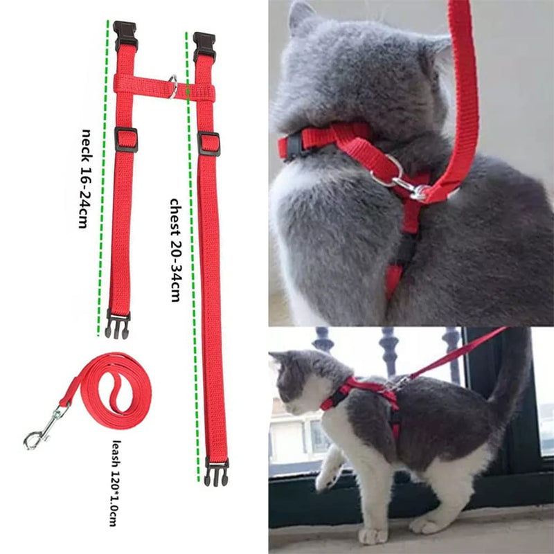 Cat harness with leash escape-proof, cat harness, adjustable cat leash with harness for cats, nylon cat leash, cat harness kitten for small cats and dogs - BeesActive Australia