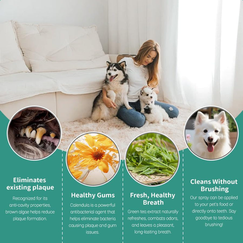 DentaClean Spray for Dogs & Cats, No-Brush Plaque & Tartar Remover, Breath Freshener, Dentaclean for Dogs, Supports Daily Denta Hygiene, Easy Spray Use, 100ml