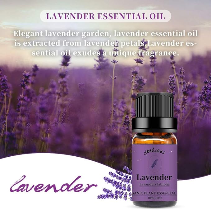 yethious Genuine Lavender Essential Oil 100% Pure Essential Oil Natural Diffuser for Massage Aromatherapy (10ml) - BeesActive Australia