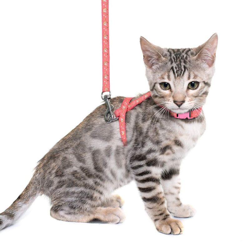 Cat Harness and Leash Set Gold Moons Stars Soft Nylon Escape Proof Adjustable for Kittens Small Animals Glow in The Dark (Pink) Pink - BeesActive Australia