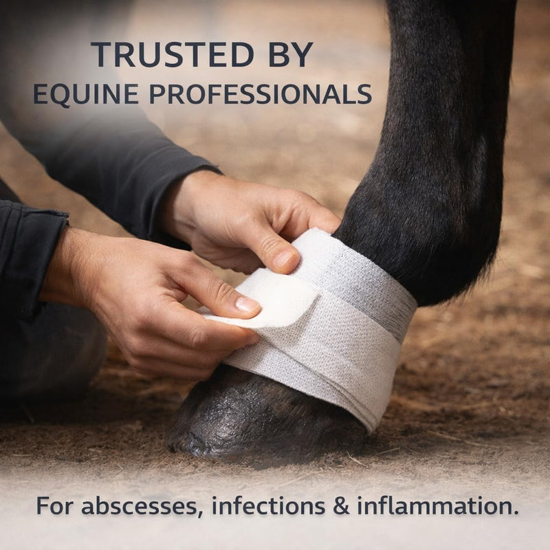 PolDress Hoof | Poultice for Horses | Veterinary Hoof and Wound Poultice | For Abscess, Swelling, Infection, and Inflammation | Hot Cold or Dry Use | 15cm x 14cm (Pack of 1) Pack of 1