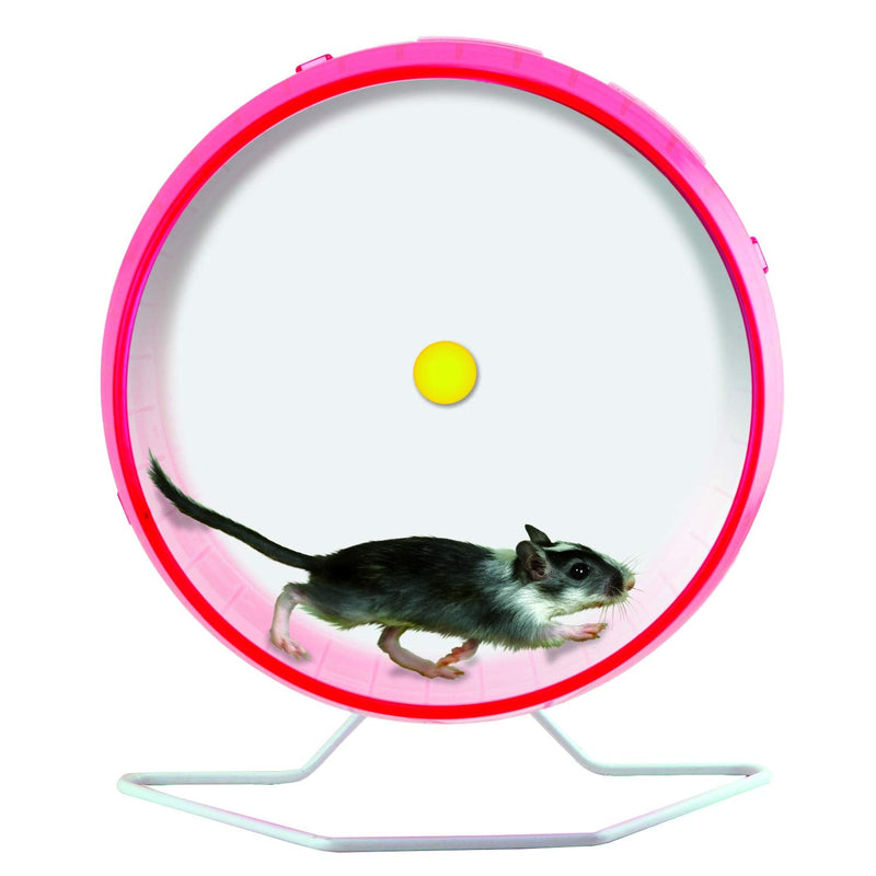 Kaytee Comfort Wheel Giant 12 Inches 12", Giant Color May Vary - BeesActive Australia