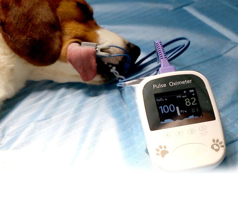SPO2 Sensor Clip for Veterinary Handheld Pulse Oximeter,SPO2 Sensor Replacement Accessories for BM1000A-I,Pet Cat Dog Health Monitor