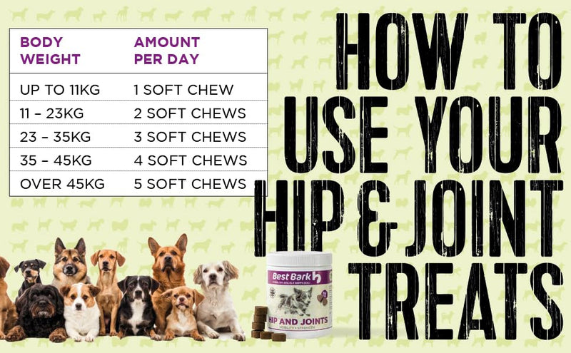 Hip & Joint Treats For Dogs - Stiffness, Strength, Mobility & Flexibility - Joint Supplement With Glucosamine, MSM, Chondroitin, GLM & Devils Claw - Perfect for Small, Medium & Large Dogs