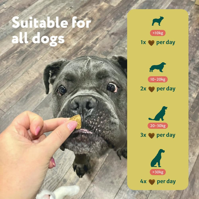 DogSuppy No Poo Eating Chews for Dogs – Helps Stop Dog Eating Poo, Supports Gut Health & Digestion, Fresher Breath, 100% Natural Ingredients, Coprophagia, Stool Eating Deterrent, Fish Flavour