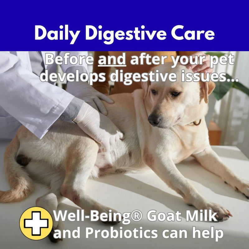 Nature’s Diet Well+Being Whole Cream Goat Milk & Probiotics for Dogs – 1.6 Billion Live Cultures – Supports Gut Health, Digestion & Nutrient Absorption – 60 Doses (6 oz)