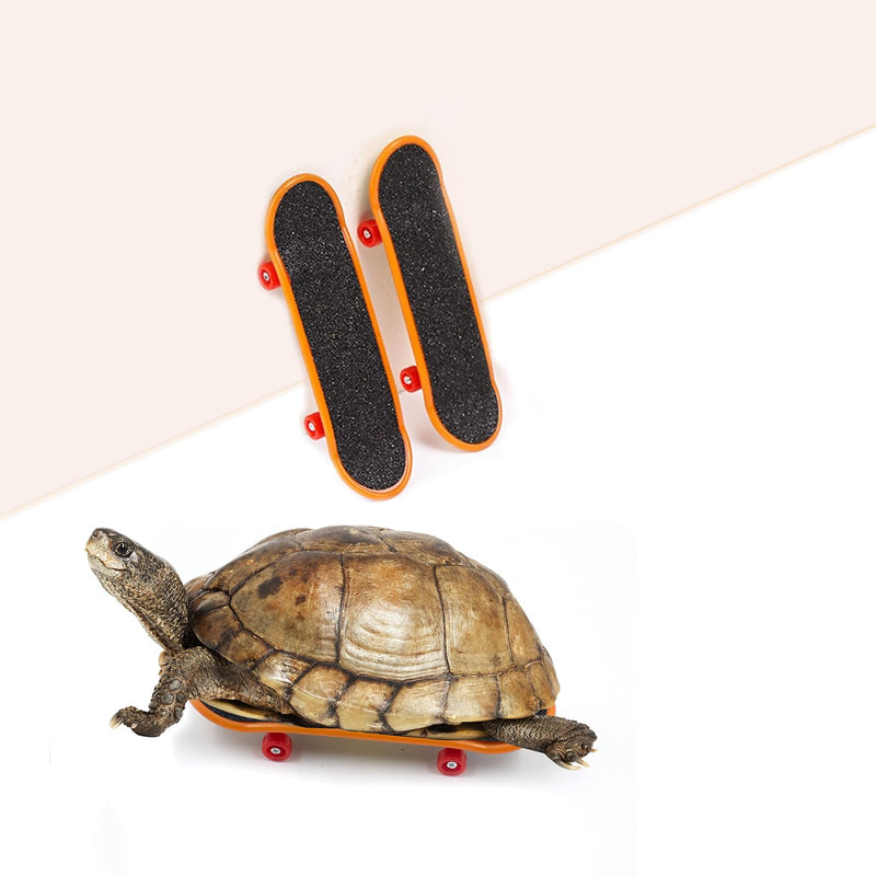 2 PCS Turtle Skateboard, Funny Turtle Skateboard for Real Turtle, Pet Turtle Playing and Training Toy Accessories, Mini Skateboard Toys for Bearded Dragon Parrot Reptile Small Animals