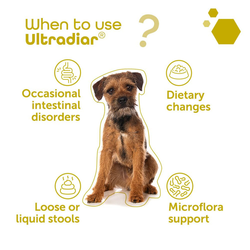 MP Labo Ultradiar® 20 Capsules - Digestive Function Support for Dogs and Cats