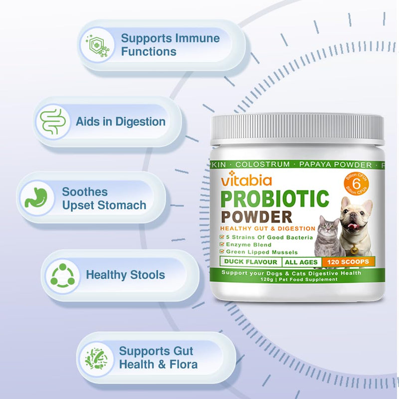 Probiotics For Dogs and Cats Powder - Natural Dog Treats For Gut Health, Itchy Skin Relief, Scooter Gland Treatment For dogs cats With Green Lipped Mussels, Psyllium Husk, Pumpkin, Probiotics Dog