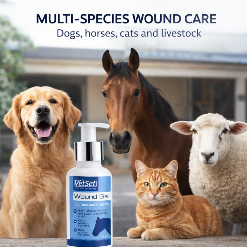 Wound Gel for Dogs, Horses, Cats & Livestock 100ml | Herbal Antibacterial & Antimicrobial Hydrogel Wound Care |Soothes & Protects Cuts, Grazes, Bites & Irritations