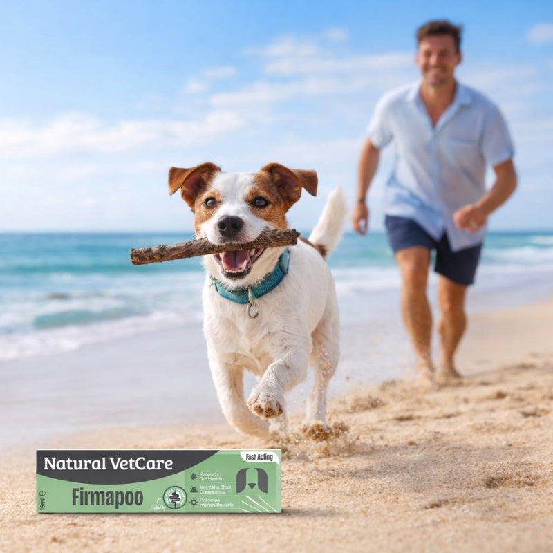 Natural VetCare FIRMAPOO 15ml Digestive Supplement for Dogs – Supports Gut Health, Maintains Stool Consistency & Promotes Friendly Bacteria – Fast Acting Formula 15 ml