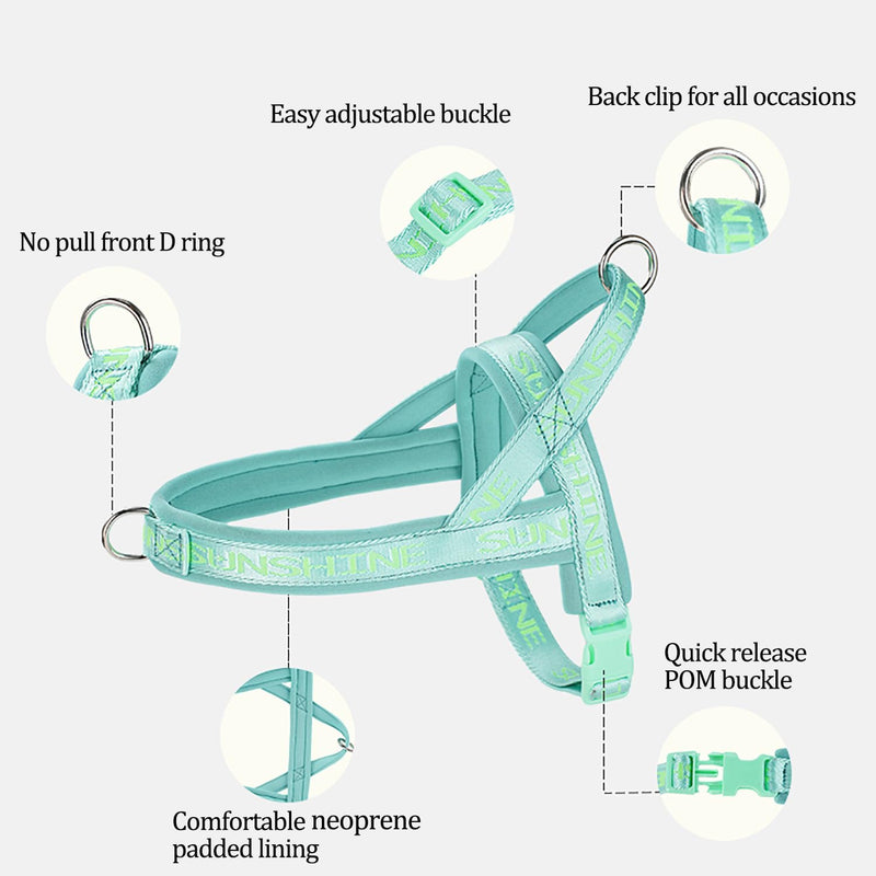 No Pull Escape-Proof Dog Vest Harness No Choke Soft Padded Dog Strap Harness Easy for Dog Walking Training Harness with Comfortable Handle S(Neck:13.8",chest:18.1"-23.2") Green - BeesActive Australia