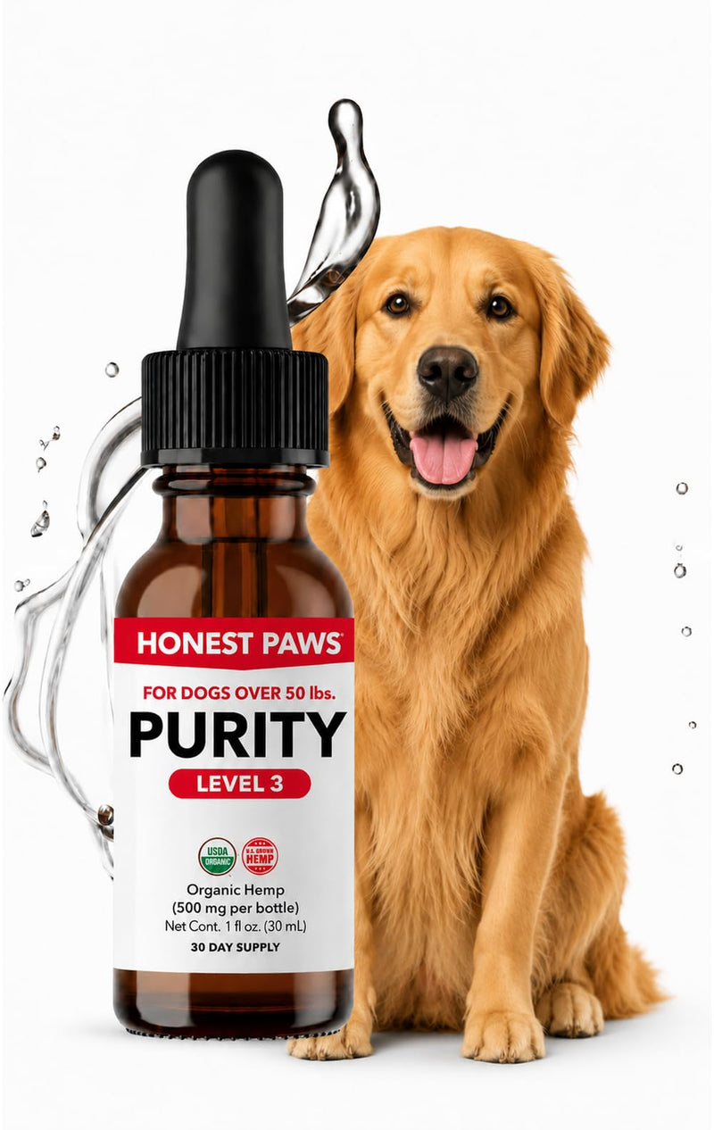 Honest Paws Hemp Oil for Dogs - Natural Hemp Seed Oil Drops Rich in Omega 3 6 9 - May Help Support Calm Behavior, Physical Comfort & Overall Wellness - Made in USA Level 3