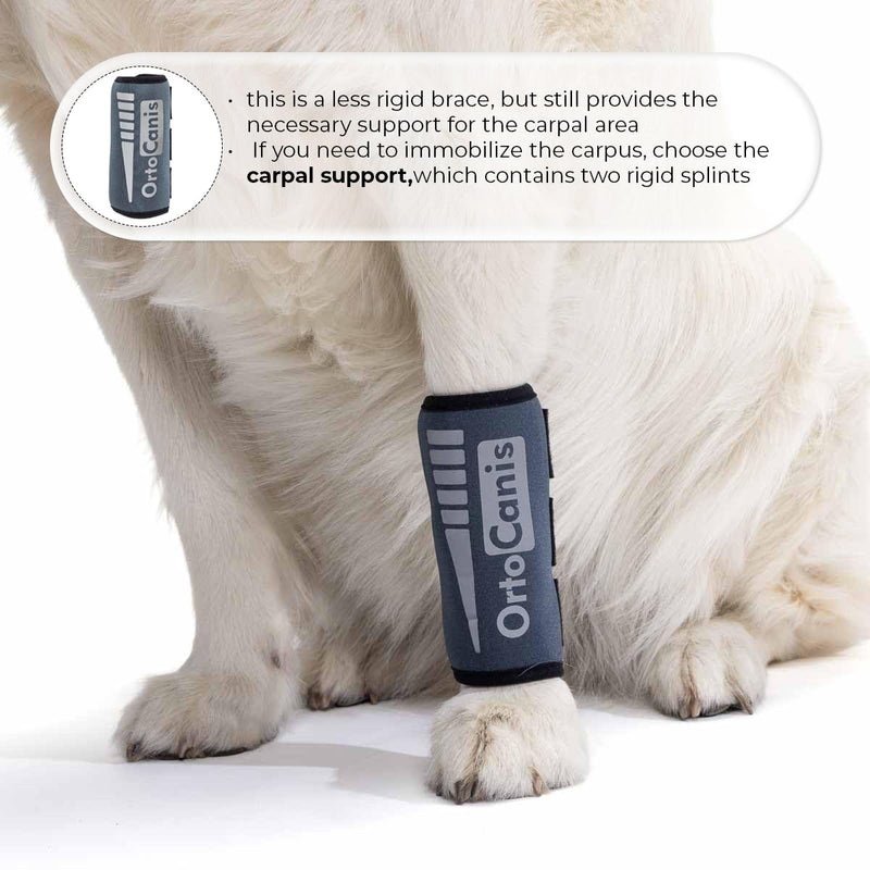 Ortocanis - Carpal Joint Brace for Dogs - Osteoarthritis, Ligament and Tendon Injuries or Agility Dogs - Made of Neoprene ARD - Size S 12-13 cm Size S (12-13 cm) - BeesActive Australia