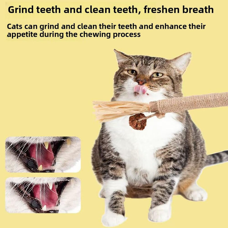 Vintage & Haven 3 Pcs Natural Silvervine Sticks Cat Toys, Catmint Silvervine Blend Sticks, Kittens Chew Toys for Teeth Cleaning, Matatabi Dental Care Cat Treat, Consumable Kitty Lick Toys (3 Pcs)
