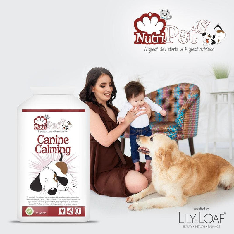 Canine Calming - Premium Quality Formula - Relieves Stress & Anxiety Associated with Loud Noises, Also Helps With Socialising, Hyperactivity & Aggression - 120 Tablets up to 120 Days Supply