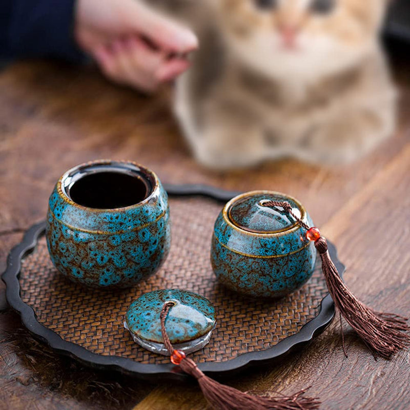 Exnemel Small Urns for Human Ashes, Mini Urn for Ashes for Adults Urns for Pets Dogs, Cat Ashes, Keepsake Funeral Urn Ash Holder (Blue) Blue - BeesActive Australia