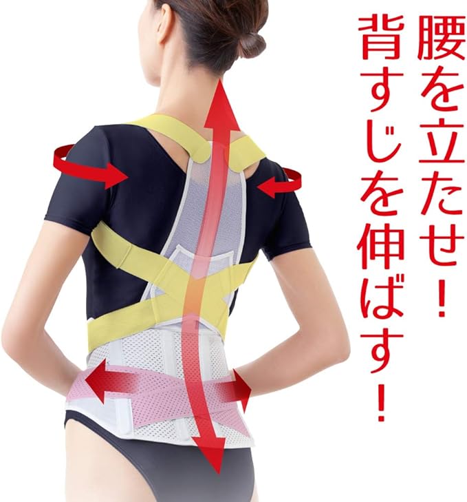 Alphax Posture Supporter, Made in Japan, Posture Belt Corrects From Doctor's Waist, L-LL -  Australia