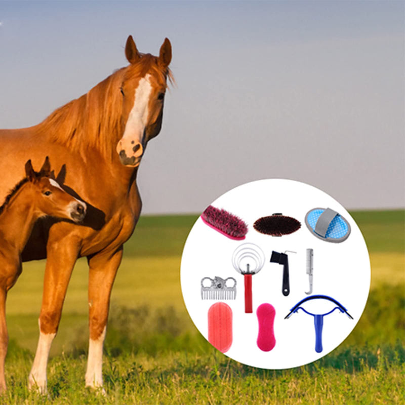 Zerodis Horse Grooming Care Kit, 10Pcs Equestrain Brush Curry Comb Horse Cleaning Tool Set Horse Riding Equipment for Beginners - BeesActive Australia