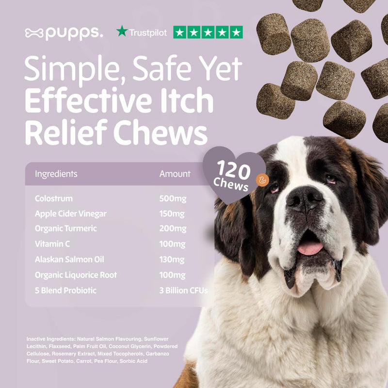 Pupps Itch Relief Dog Treats – 120 Natural Anti-Itch Chews for Dogs | Soothes Itchy Skin, Paws & Ears | With Colostrum, Turmeric & Salmon Oil | Allergy & Skin Support | Vet Approved, UK Made 120 x Chews