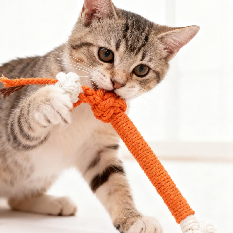 4 Pcs Cat Teeth Cleaning Kitten Teething Cat Nip Chewing Rope, 20cm Cotton Rope for Aggressive Chewers, Dental Care（Random Color）