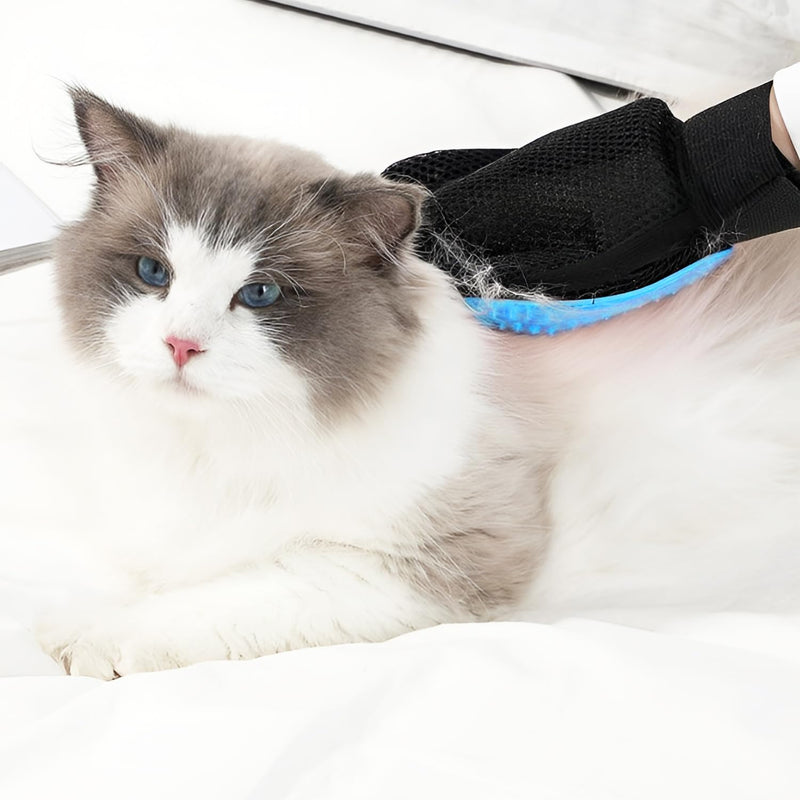 ZSMJAER pet glove cat brush glove, suitable for grooming dogs, cats and cleaning Pet Grooming Brush Glove has a massaging effect (light blue) light blue - BeesActive Australia