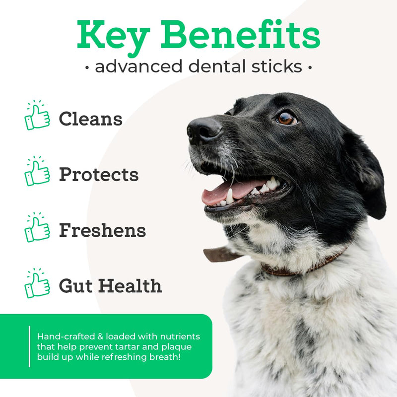 Vetpro Complete Advanced Dental Sticks with Prebiotics, 15 Sticks, Cleans Teeth, Freshens Bad Breath, and Supports Gut Health, Target Tartar and Plaque Build Up, Veterinarian Formulated - PawsPlanet Australia