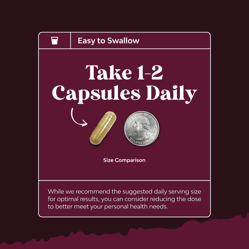 Advanced Kidney Support Supplement - Kidney Cleanse Detox & Repair Cranberry Extract Capsules with Uva Ursi, Stinging Nettle & Astragalus for Kidney Health - Urinary Tract Health - 60 Count 60 Count (Pack of 1) - BeesActive Australia