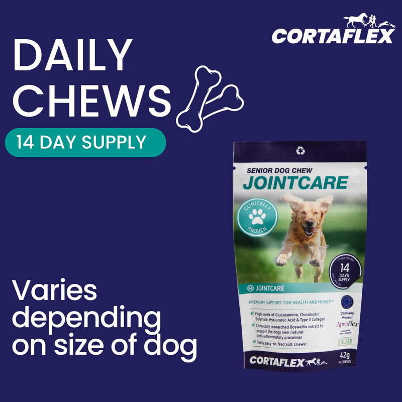 Senior Dog Chews (Contains 60 Chews) Supports Hip And Joint Mobility. Supplements For Dogs. Contains Chondroitin and Glucosamine. Dog Joint Support For Senior Dogs 60.0