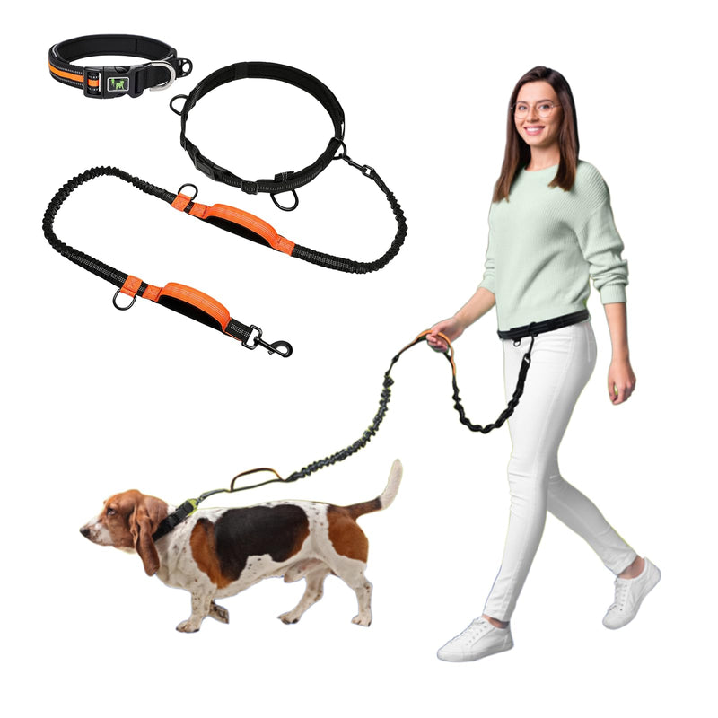 Hands Free Dog Leash - Dog Collar with Adjustable Waist Belt, 2 Bungees Shock Absorbing, Dual Handles for Walking Running Jogging, Reflective Knitted For 1 Dog, with Dog Collar,black