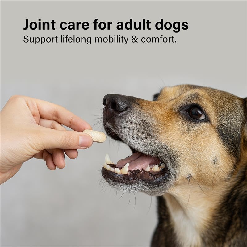 GOMUTTS Joint Supplements for Dogs, 120 Dog Joint Tablets with Glucosamine, Green Mussel, Dog Joint Supplements for Adult, Promote Joint Health, Reduce Stiffness & Inflammation, Enhance Mobility 120 Tablets