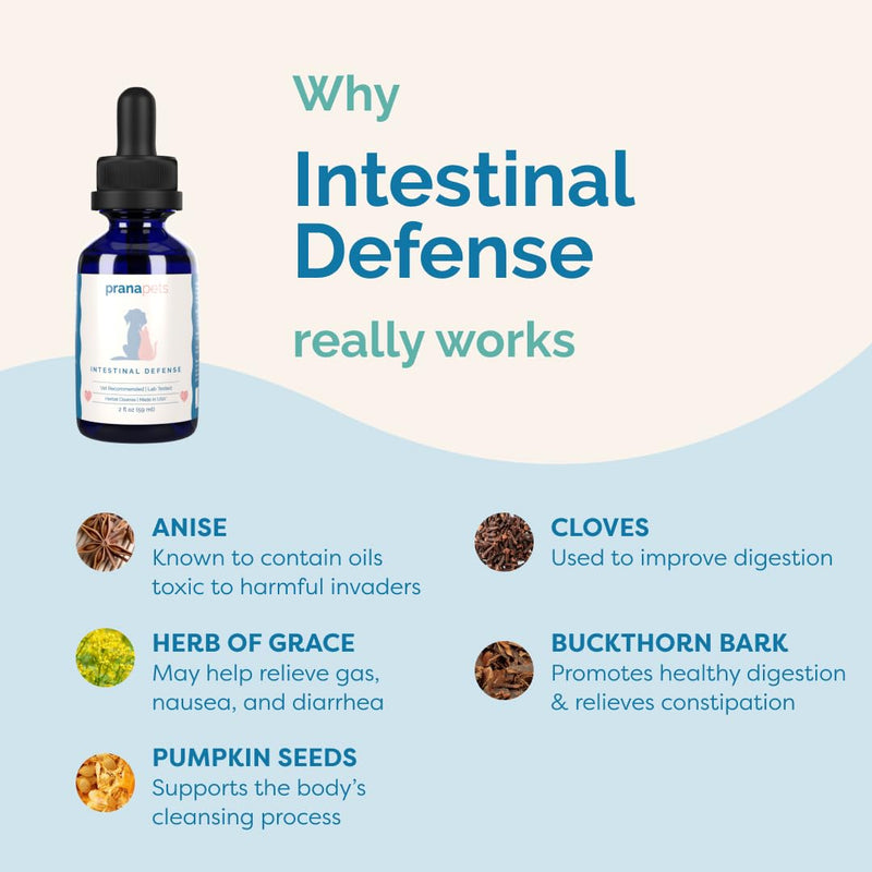 PranaPets Intestinal Defense Supplement for Dogs & Cats | Naturally Helps Digestive Issues in Pets | Herbal Formula 1 Pack - PawsPlanet Australia