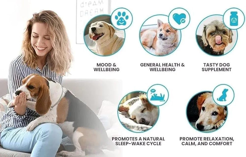 Prime Melatonin for Dogs - Composure Dog Calming Chews - 3 mg, 120 Beef Flavored Chewable Tablets - Reduce Stress and Sleep Aid for Dogs