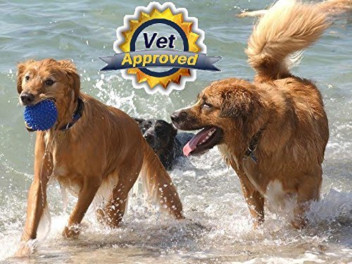 Treats Arthritis, Inflammation, Joint Pain, & Decreased Flexibility - 90 Dog Chewable Tablets - PawsPlanet Australia