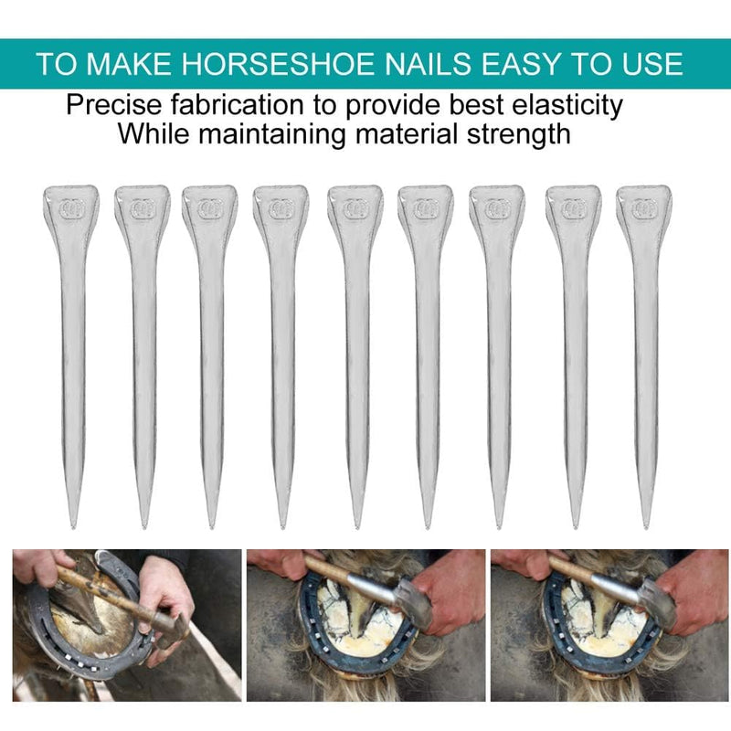 250PCS Horseshoe Nail Steel 2.13 Inches E6, Horse Shoe Nails Horseshoe Tools Stainless Steel Horseshoe Horse Hoof Peg Securing Nails Tools for Horse Training Equestrian Sports - BeesActive Australia