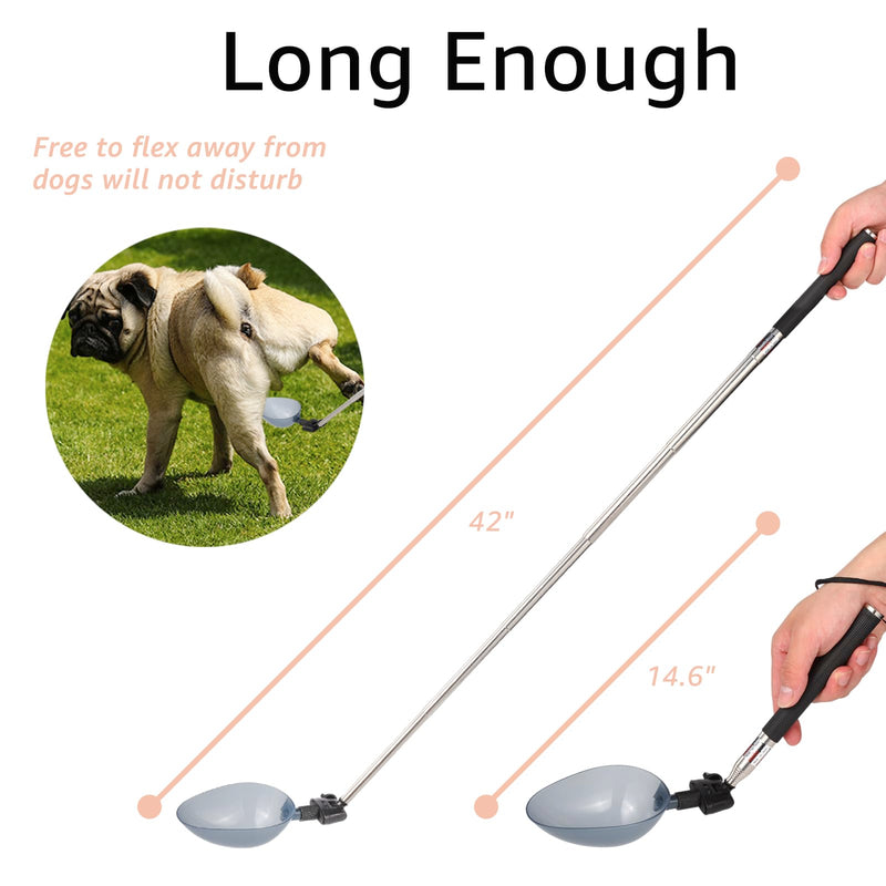 Dog Cat Urine Collector - Telescopic Urine Sample Catcher for UTI Test Kit,Dog Pee Stick for Veterinary Supplies.Dog Pregnancy Pee Test Kit(Basic Kit) basic kit - BeesActive Australia
